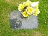 image of grave number 654868